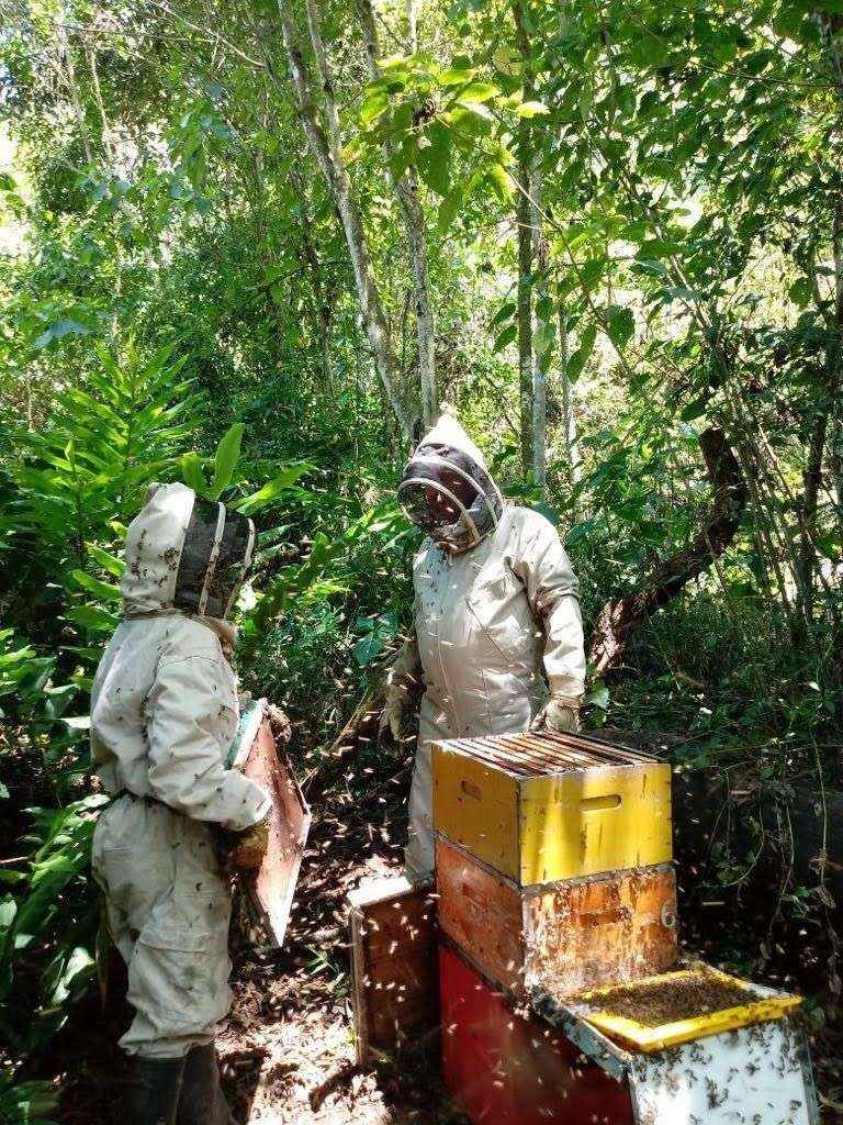 Aristeo Bee Venom desarrolla productos a partir del veneno de las abejas