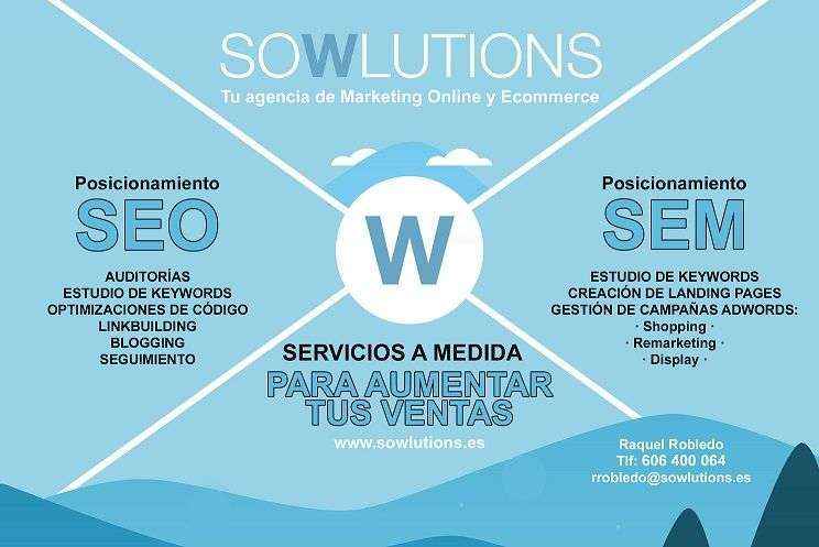 Sowlutions ofrece servicios online a franquicias y pymes Ecommerce fundamental para el crecimiento on line