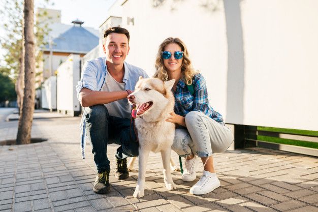 La custodia de las mascotas tras un divorcio según divorciosevilla.org