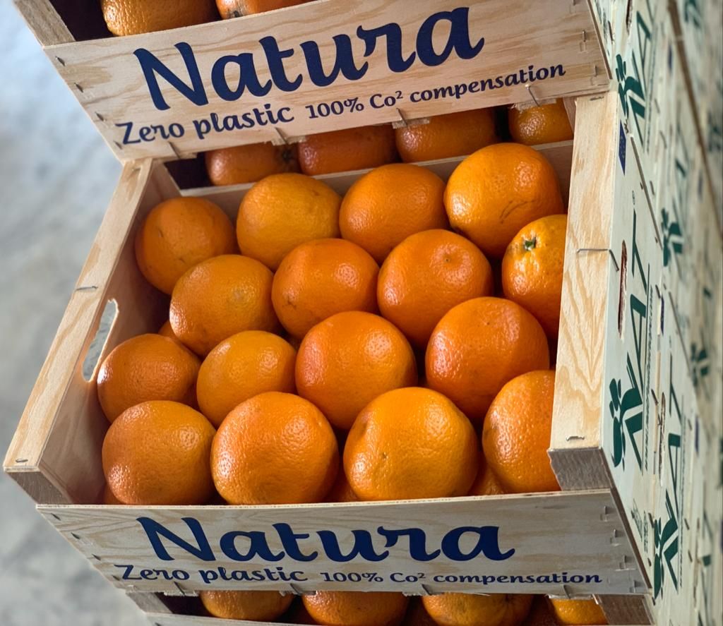 NAT FRUIT EUROPE: Vía verde para la exportación de frutas y verduras españolas