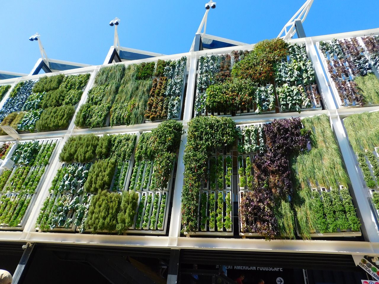 Asociación Solidaria Mundo Nuevo: Compromiso social