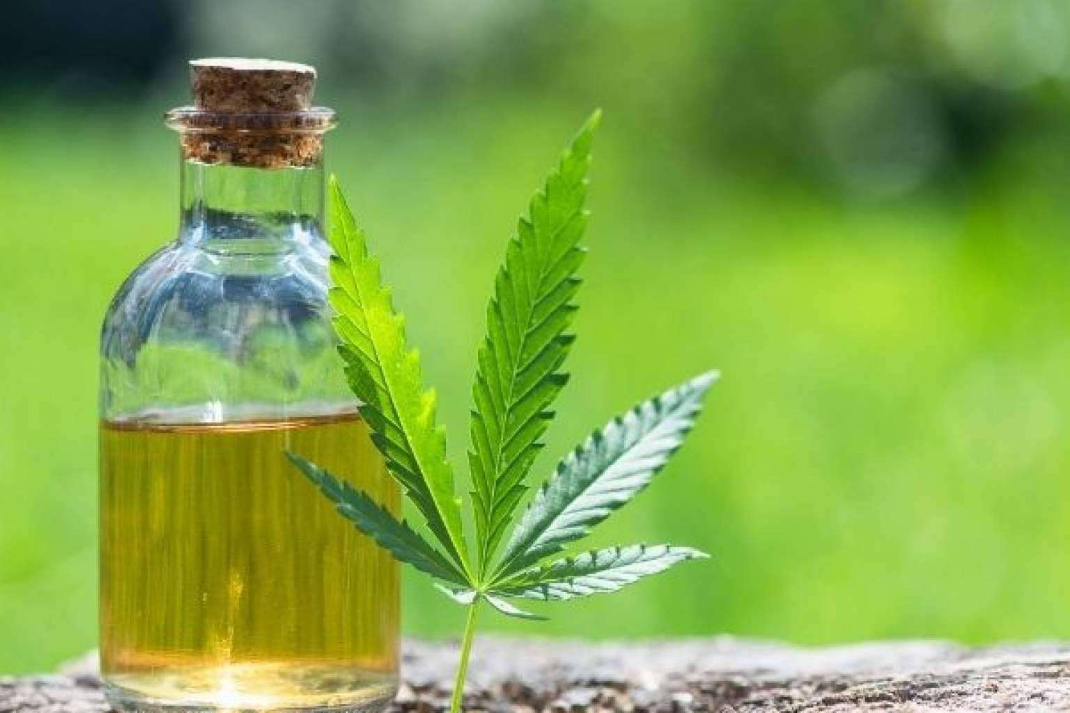 Comprar aceite CBD online es posible gracias a CBD Organics