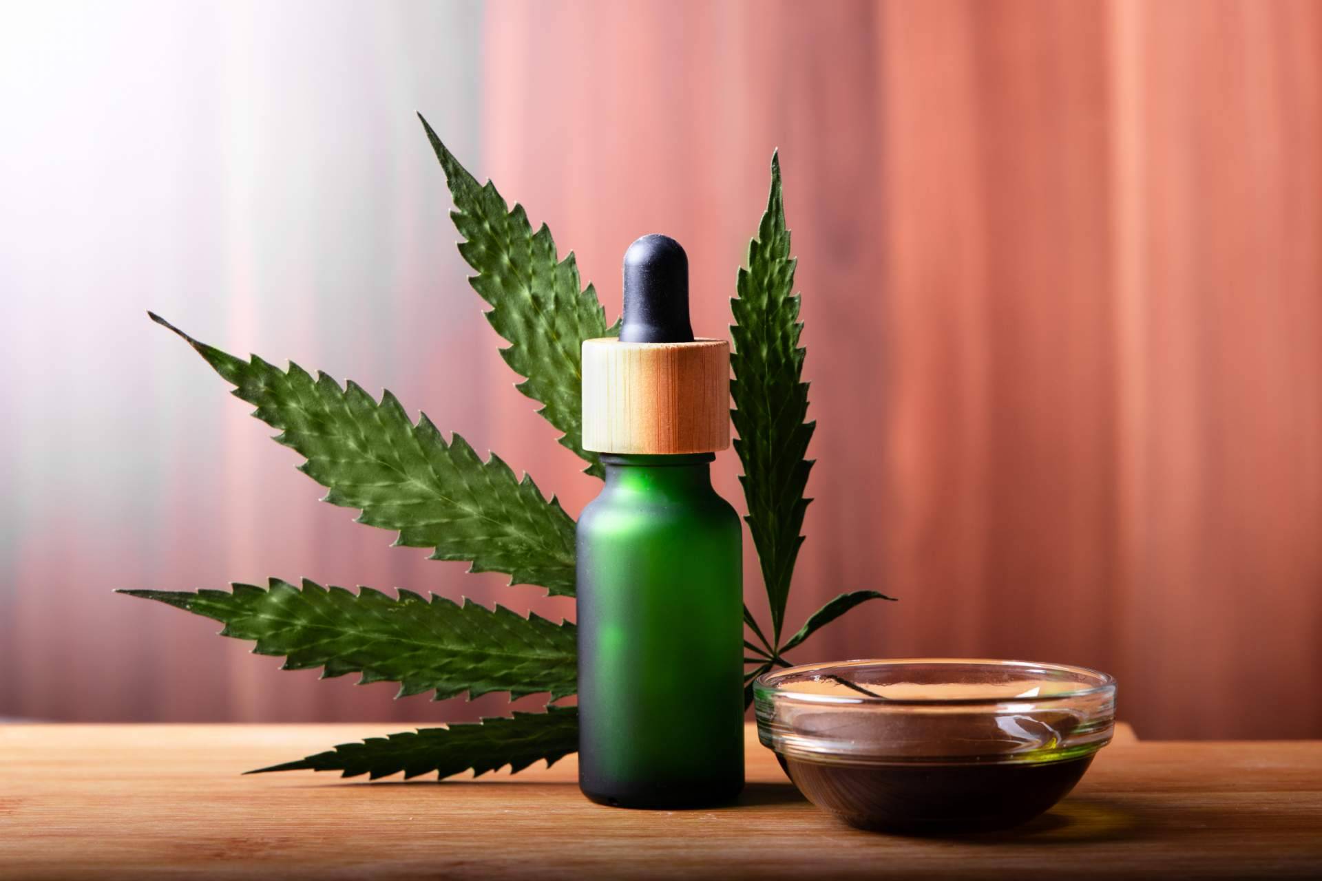 El nuevo growshop online con un amplio catálogo de artículos, topgrow.es