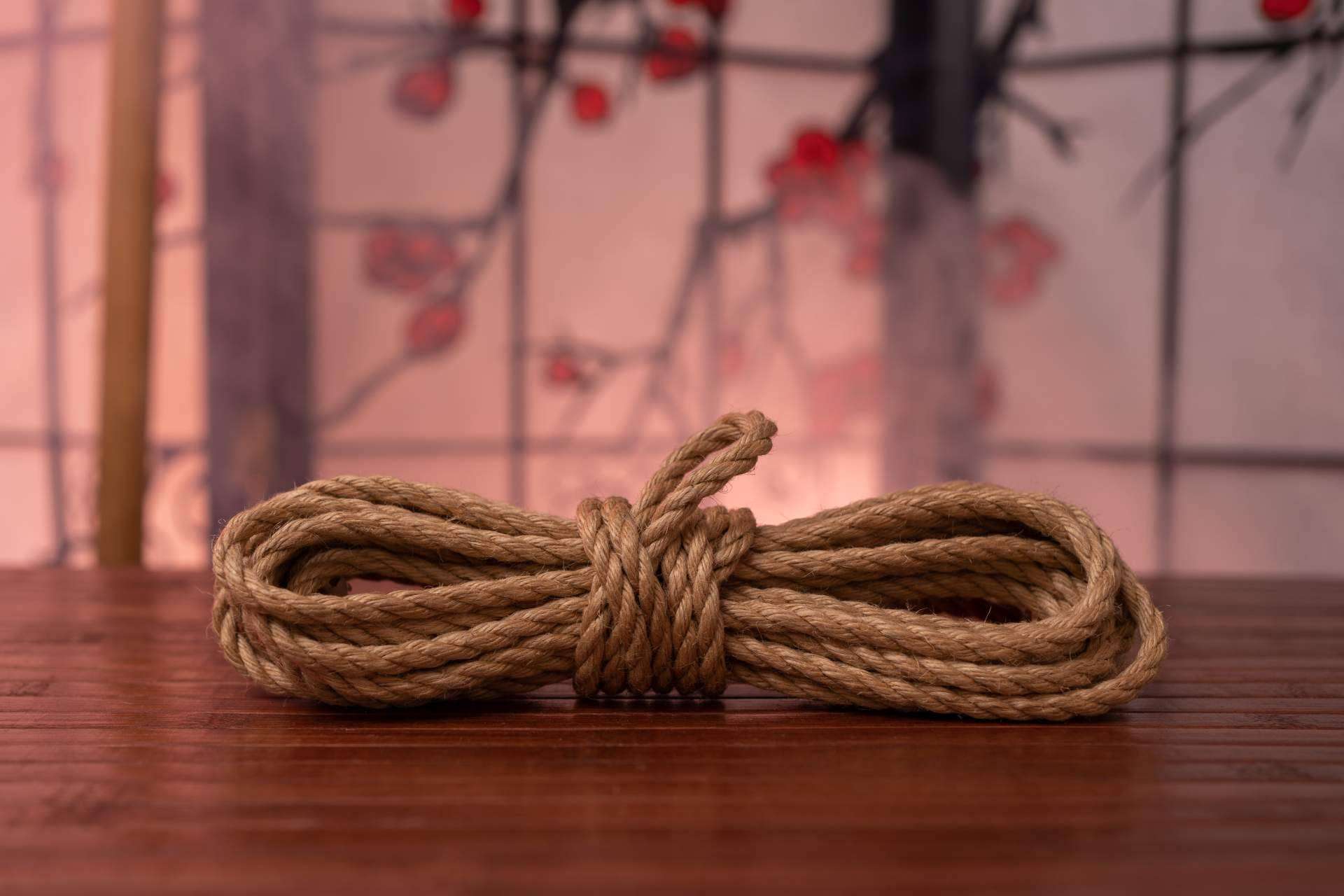 Shibari y kinbaku, el arte japonés de la atadura erótica, por My BDSM Store