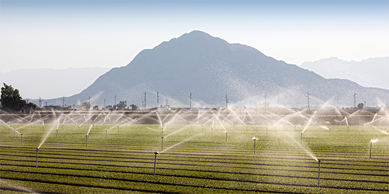 Clúster GAIA colabora en proyecto para promover la gestión inteligente del agua en la industria alimentaria