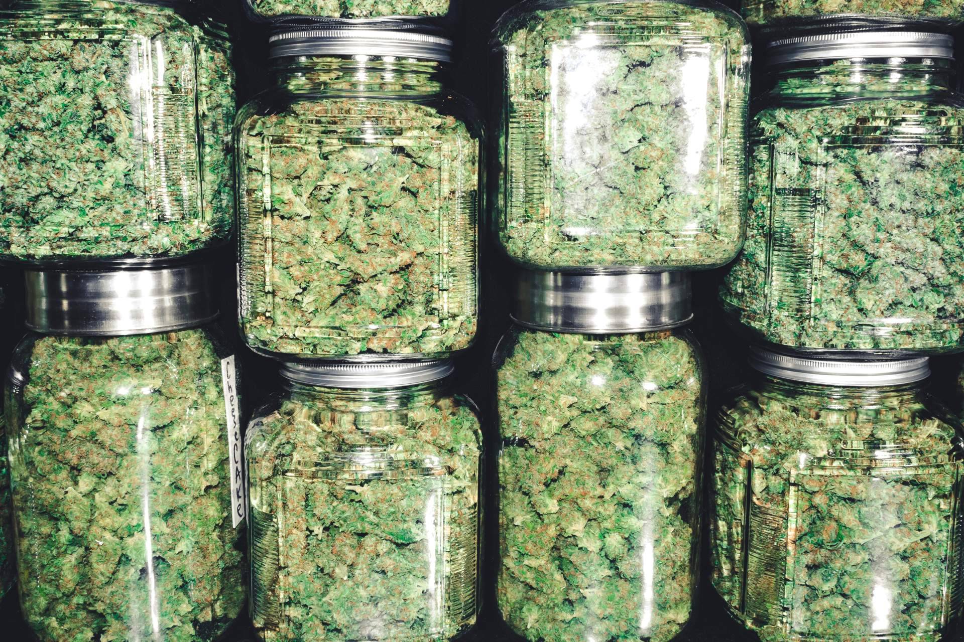 Una de las guías líderes de clubes de cannabis en Barcelona, Cannabis Barcelona